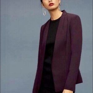 Babaton (Aritzia) “Keith” Blazer